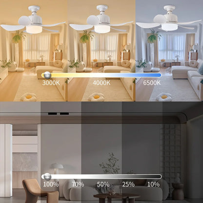 Socket Ceiling Fan with LED Light + Remote